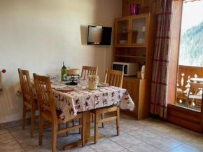 Confortable studio à 200m du centre avec Multi Pass été à 3€/jour, parking et balcon exposé Sud - FR-1-693-66